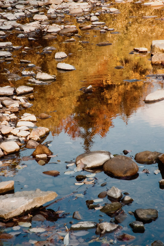 photo "...autumn reflections..." tags: landscape, still life, water