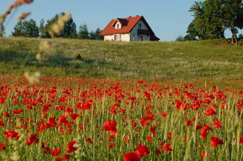 photo "Campagne" tags: landscape, 