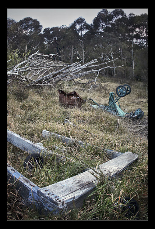 photo "Broken Bush" tags: landscape, winter