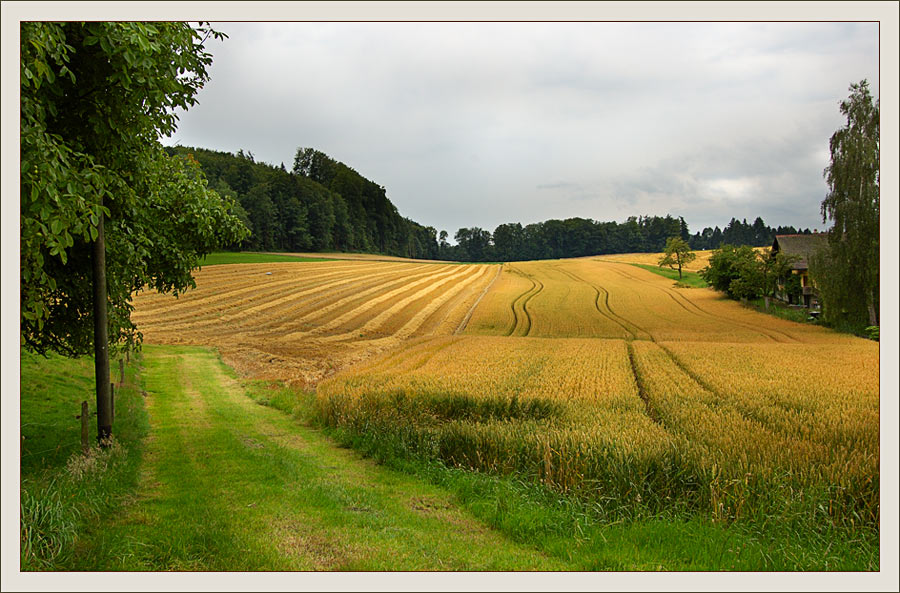 photo "***" tags: landscape, summer