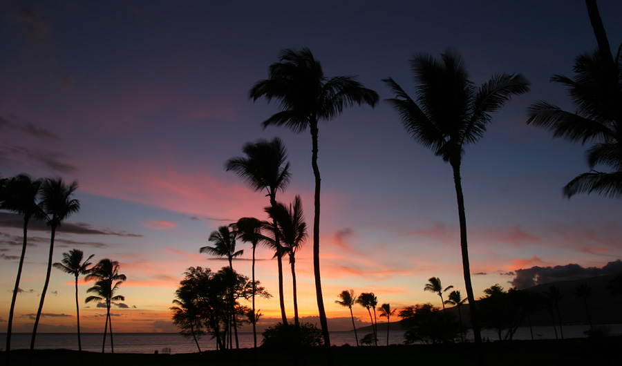 photo "Windy Evening" tags: landscape, sunset, water