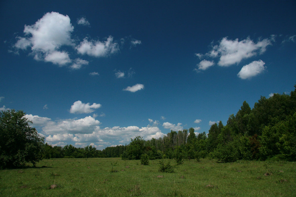 photo "***" tags: landscape, clouds, summer