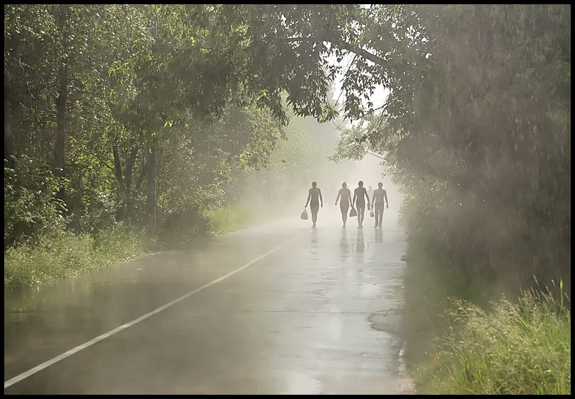 photo "Summer rain" tags: nature, 