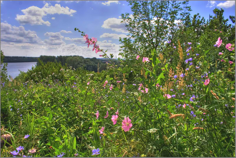 photo "***" tags: landscape, summer