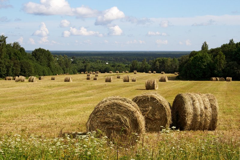 photo "***" tags: landscape, travel, Europe, summer