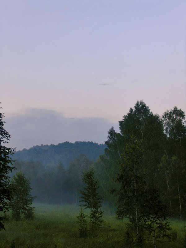 фото "Вечер" метки: пейзаж, лес