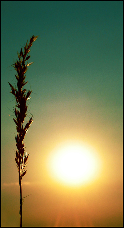 photo "h o t . s u m m e r" tags: landscape, sunset