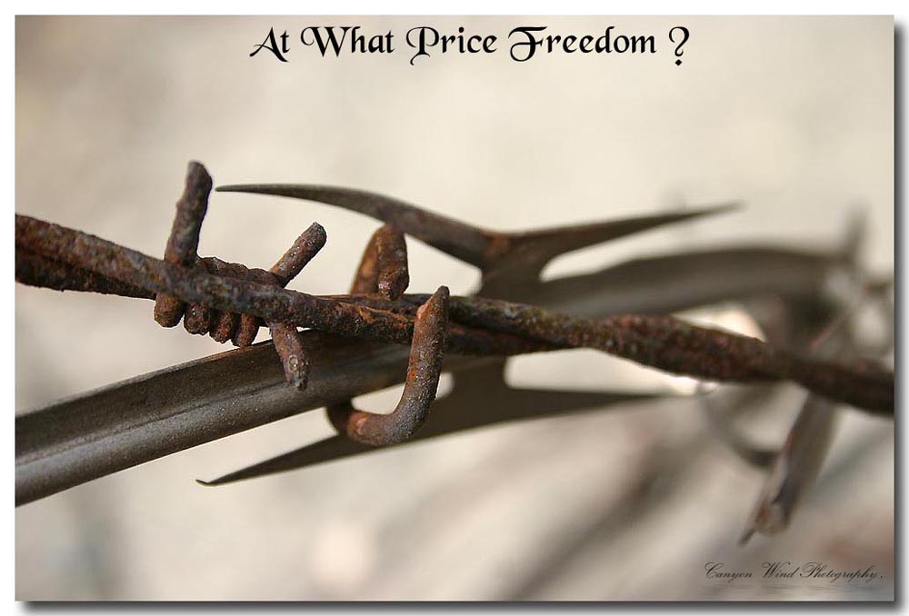 photo "At what price freeedom ?" tags: reporting, macro and close-up, 