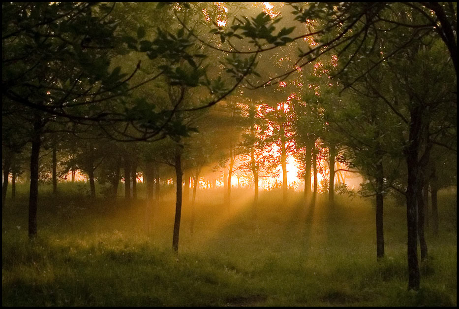 photo "rays..." tags: landscape, summer, sunset