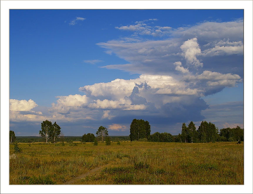 photo "***" tags: landscape, clouds, forest