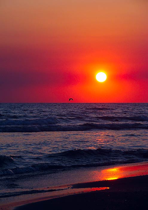 photo "Black Sea" tags: landscape, sunset