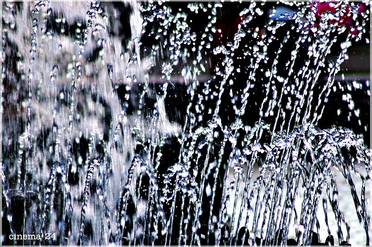 фото "drops" метки: , 