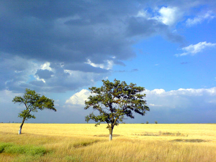 photo "***" tags: landscape, summer