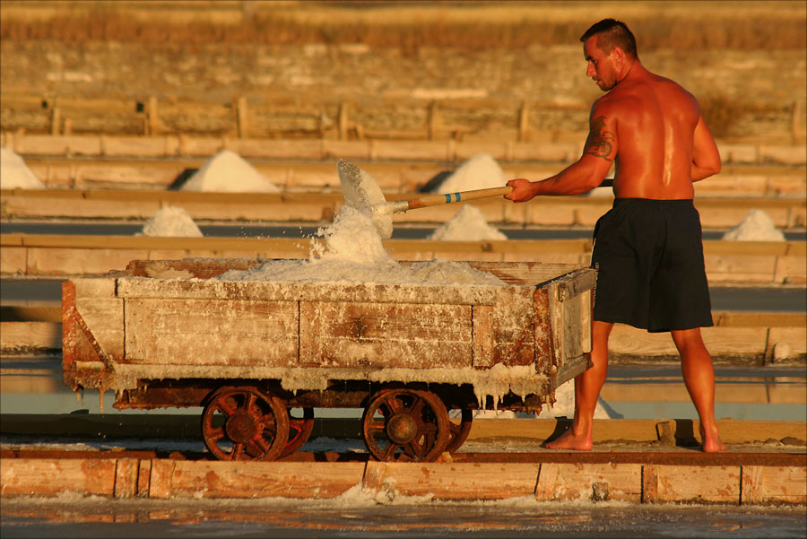 фото "Hard working man" метки: портрет, 