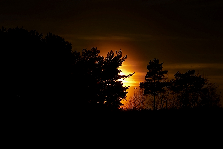 photo "***" tags: landscape, sunset