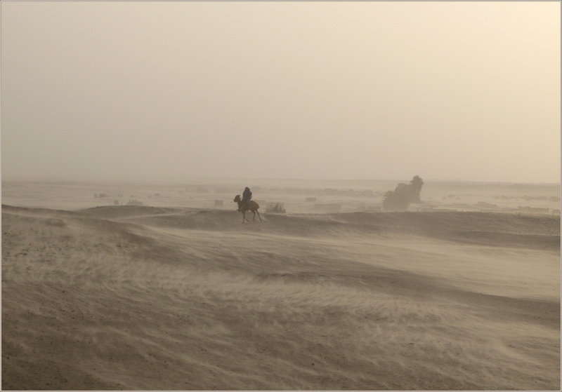 фото "Песчаная буря" метки: пейзаж, путешествия, Африка