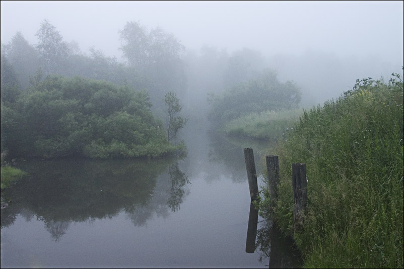 photo "***" tags: landscape, summer