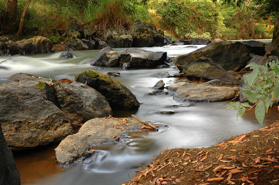 фото "Riacho Verde 04" метки: пейзаж, вода, лес