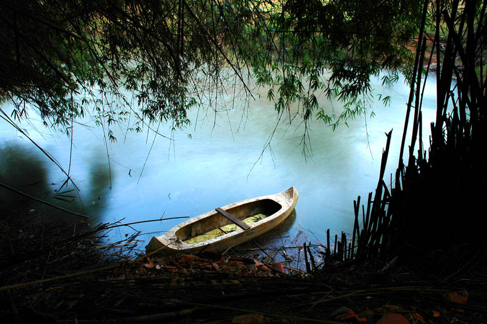 photo "Janela" tags: landscape, forest, water