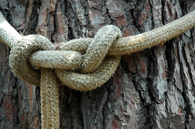 photo "knot" tags: travel, Europe