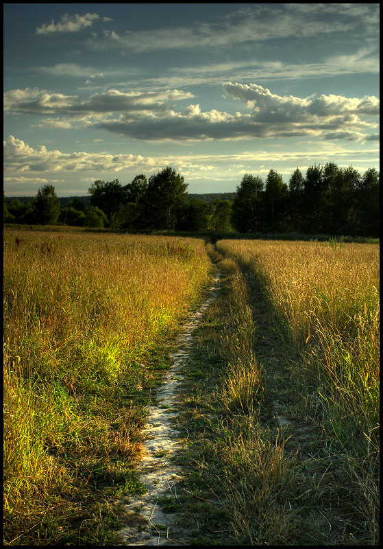 photo "***" tags: landscape, summer