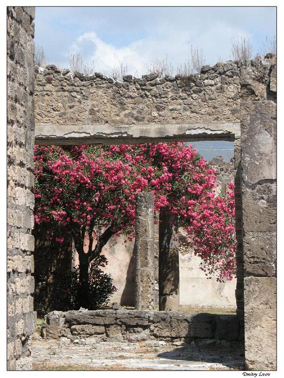 фото "Colours of Pompei" метки: путешествия, архитектура, пейзаж, Европа