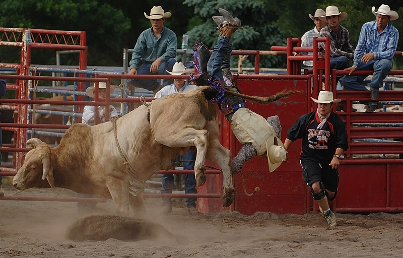 photo "Rodeo" tags: travel, North America