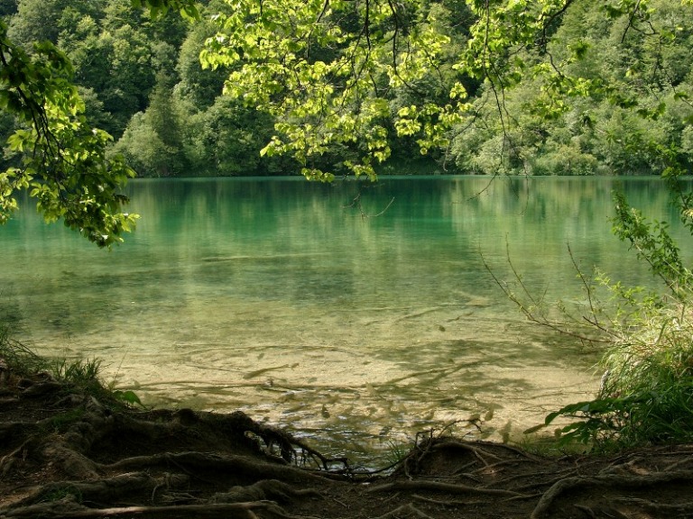 photo "* * *" tags: landscape, forest, water