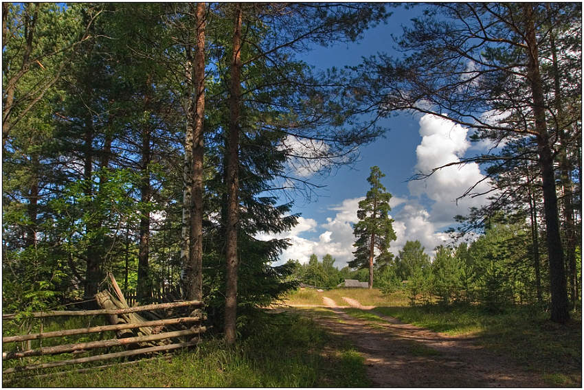 фото "Деревенька в лесу" метки: пейзаж, лес, лето