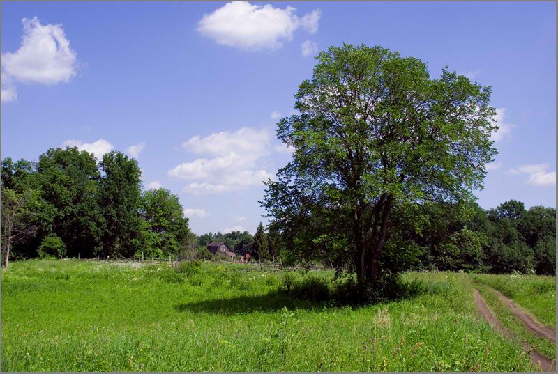 photo "***" tags: landscape, summer