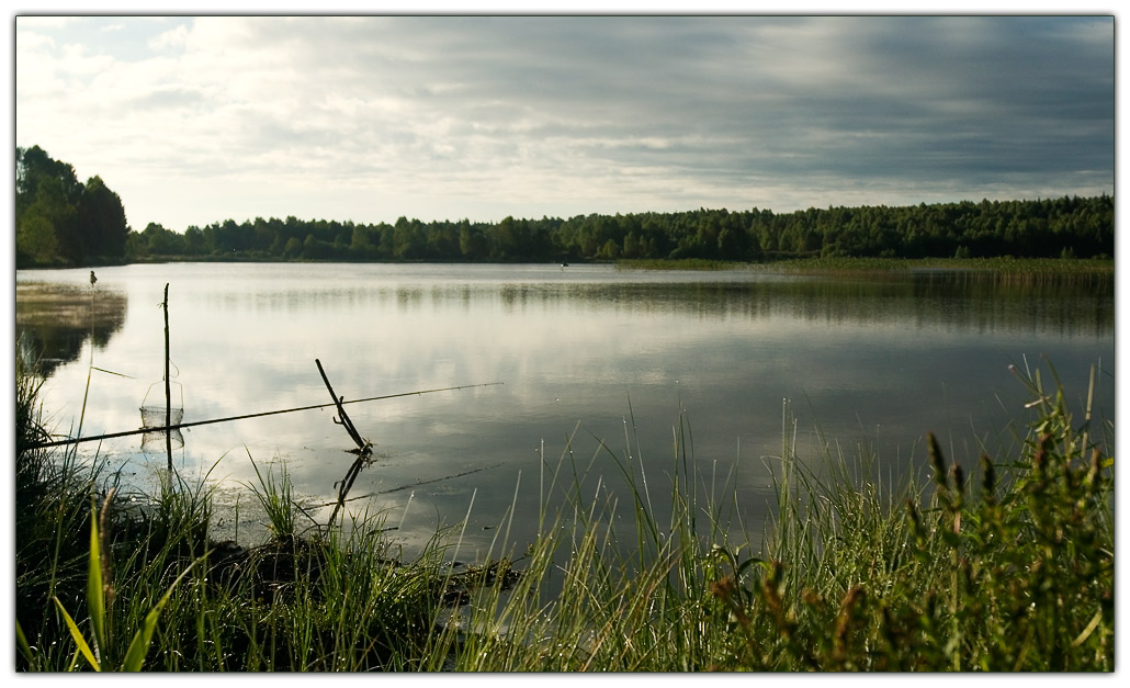 photo "***" tags: landscape, forest