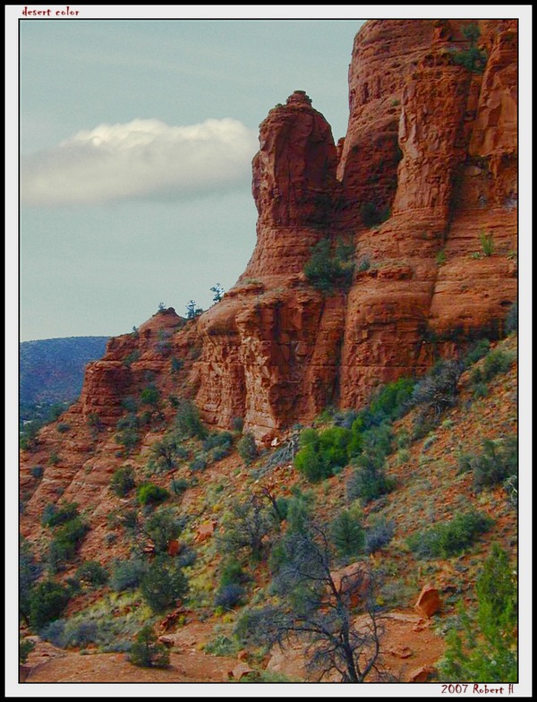 photo "Desert Colors" tags: landscape, nature, flowers, mountains