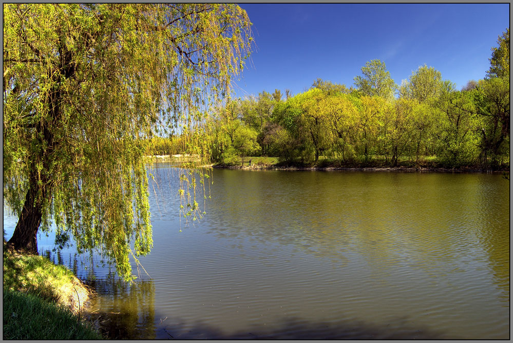 photo "on shore" tags: landscape, water