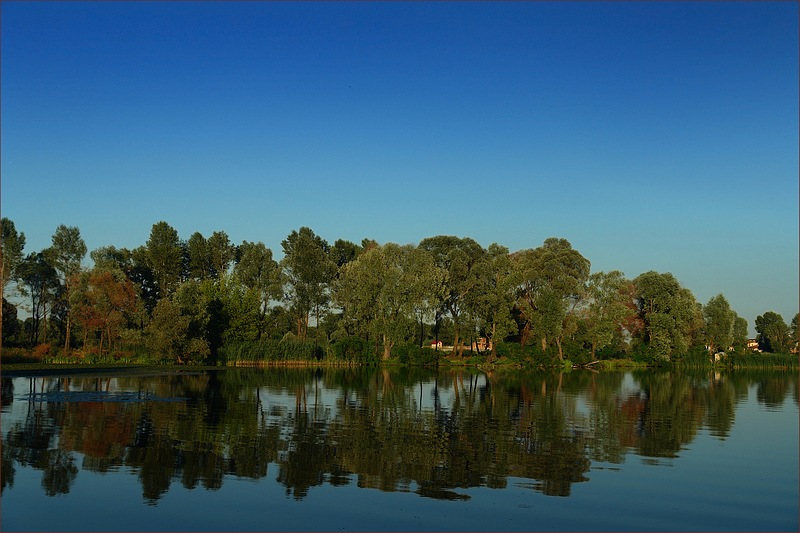 photo "***" tags: landscape, summer, water