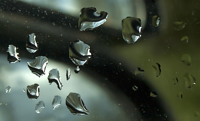 photo "The downpour has passed..." tags: macro and close-up, abstract, 