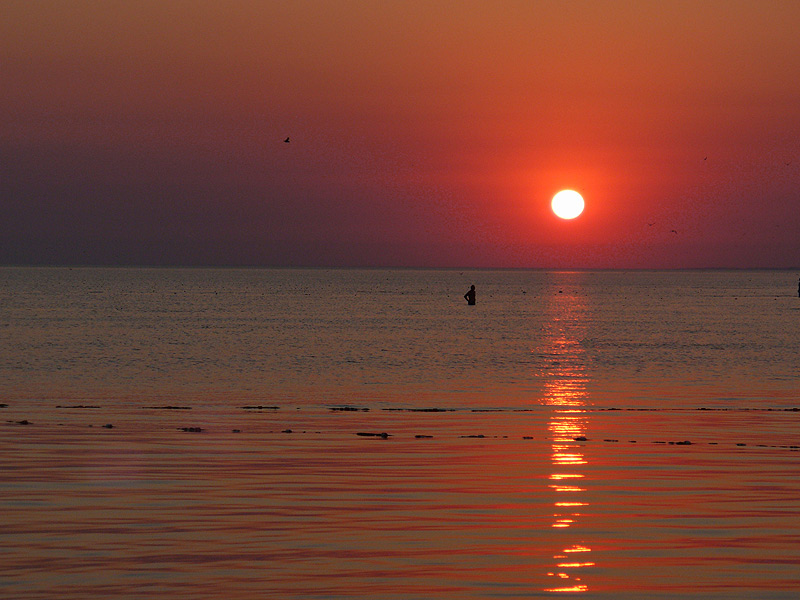 photo "***" tags: landscape, sunset, water