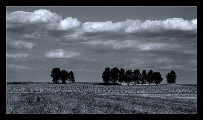 photo "Aljmas fields" tags: landscape, 