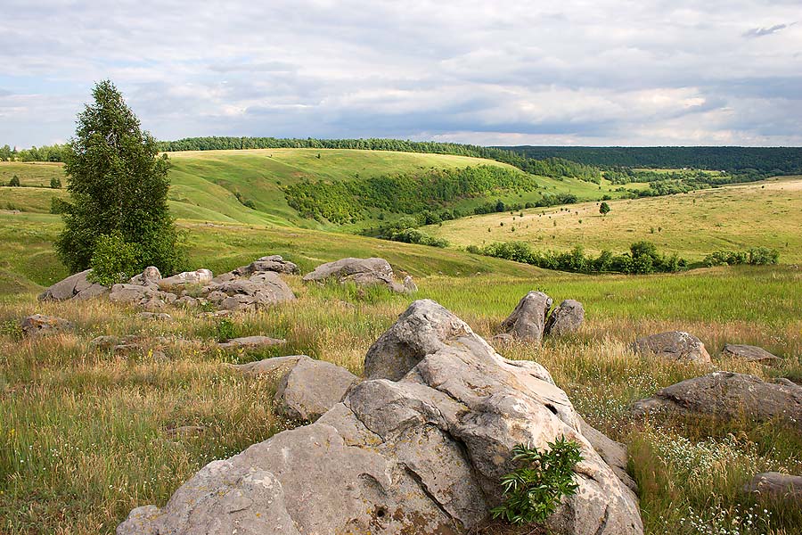 photo "***" tags: landscape, summer