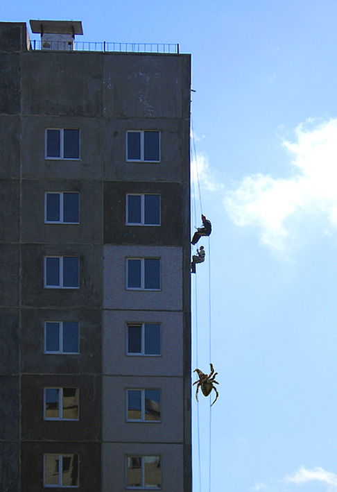 фото "пауки" метки: юмор, 