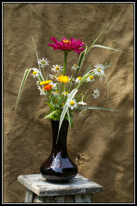 photo "***" tags: still life, 