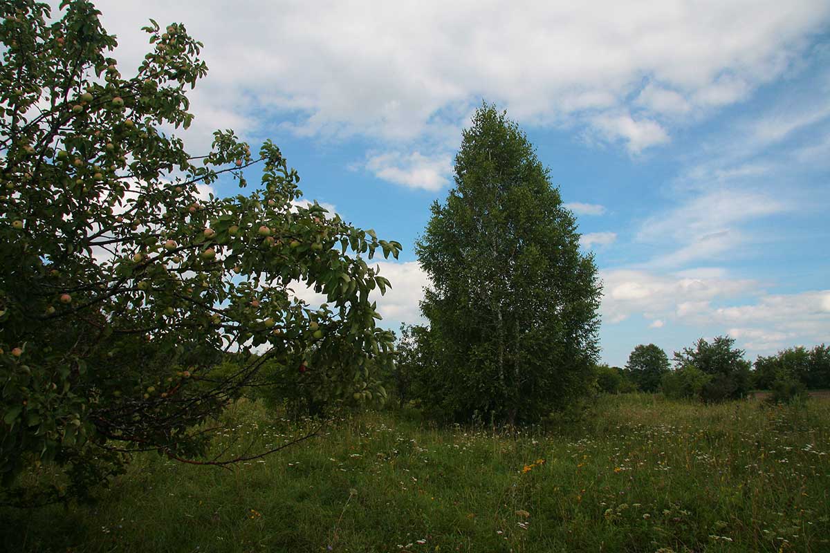 photo "***" tags: landscape, clouds, summer