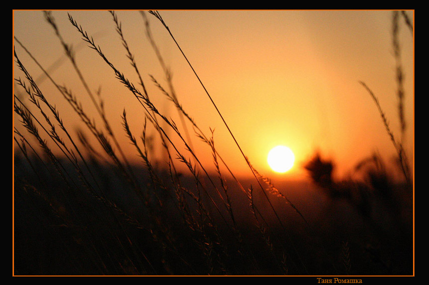 photo "***" tags: landscape, summer