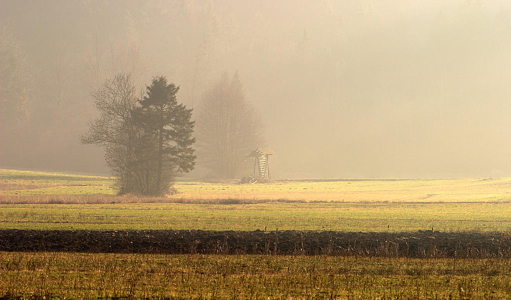 photo "field" tags: , 
