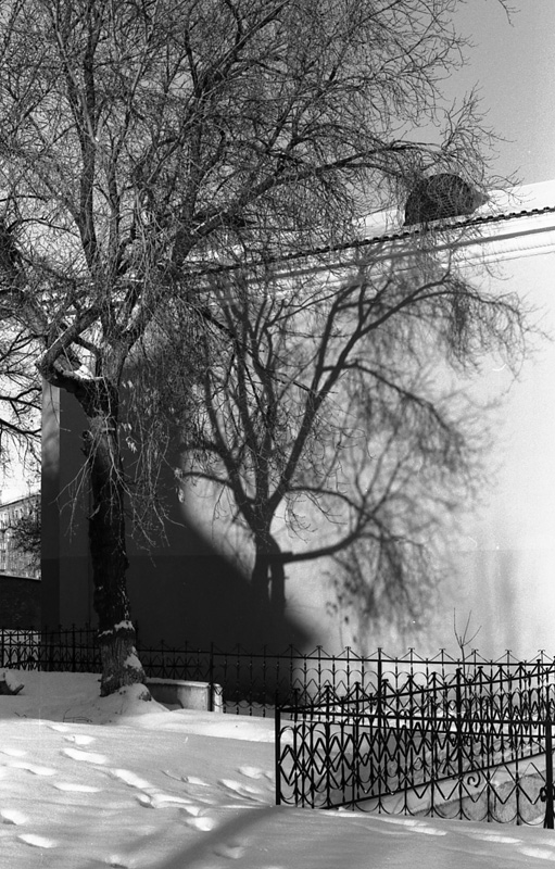 photo "January" tags: landscape, black&white, winter