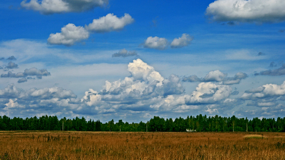 photo "Russian field" tags: landscape, clouds, summer