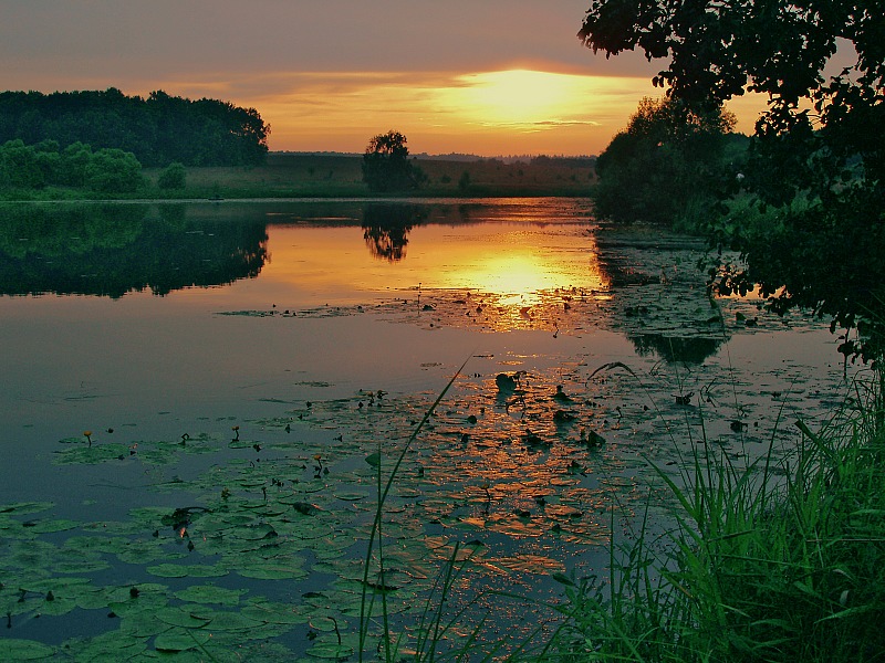 photo "***" tags: landscape, summer, sunset