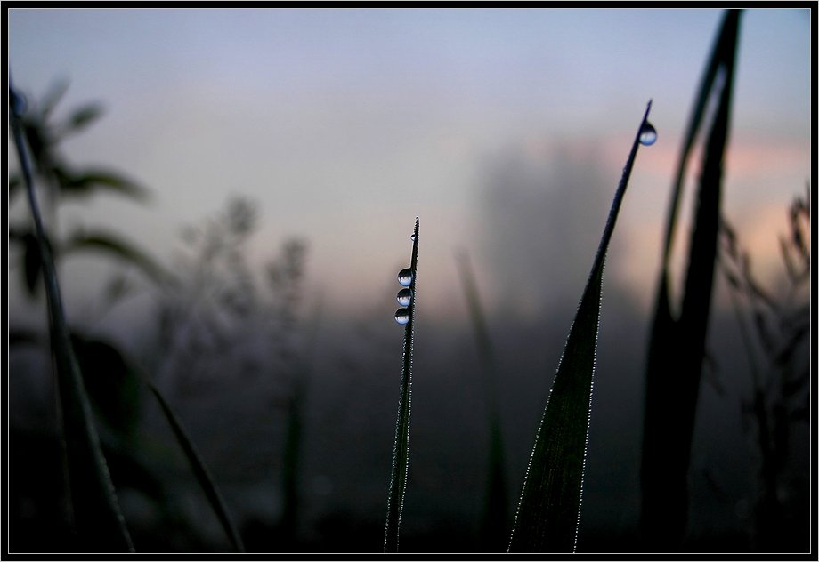 photo "***" tags: landscape, macro and close-up, sunset