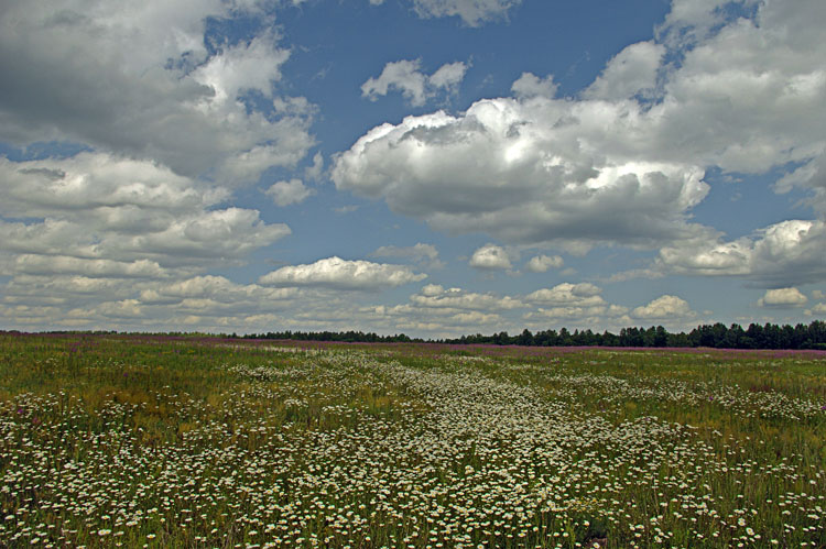 photo "***" tags: landscape, summer