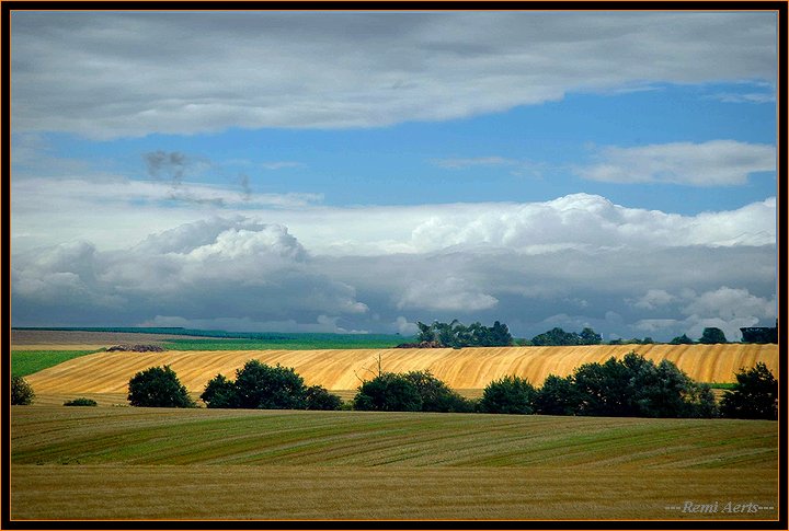 фото "flanders fields 2" метки: пейзаж, лето