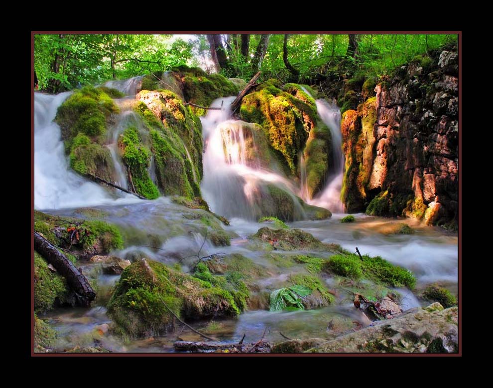 фото "Plitvice" метки: пейзаж, вода, лес